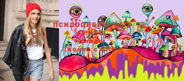 каннабис Беломорск